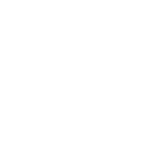 Logo Bulletfox